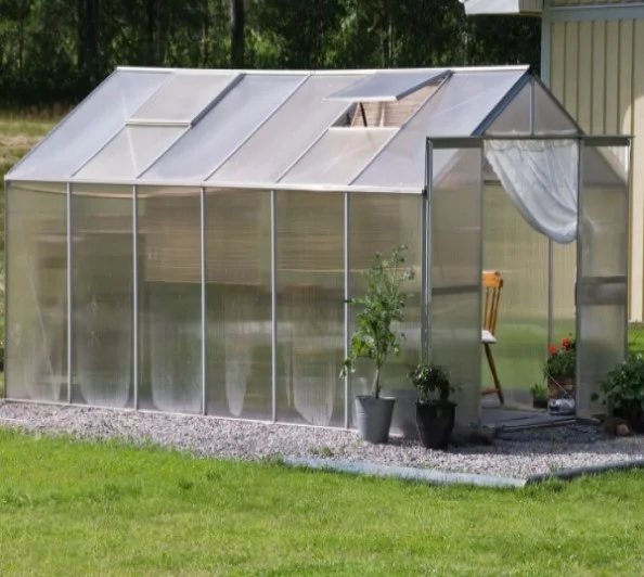 Greenhouse cover for Hibiscus
