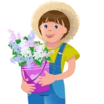 Landscaping (Beautification)